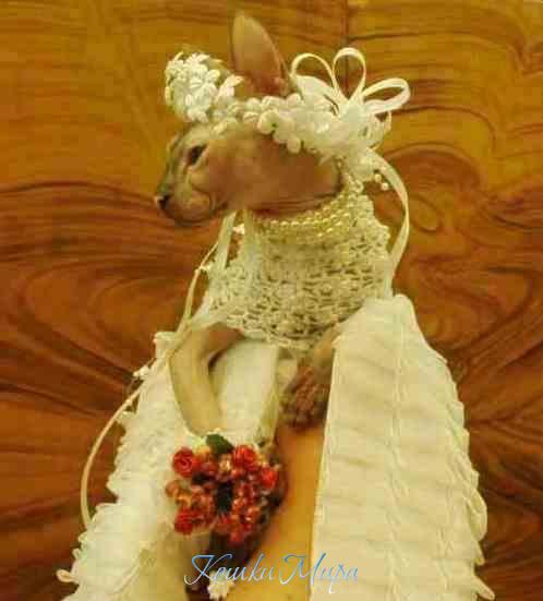 41 - Единственная на планете