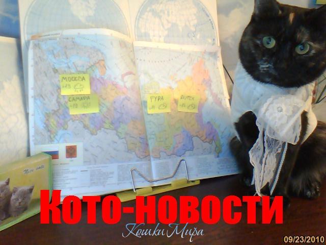 И о погоде на сегодня в кото-новостях