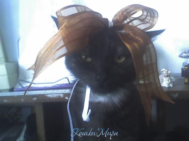 Как вам мой новый стиль?!