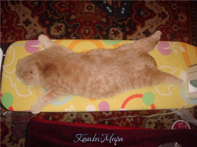 Погладьте меня...