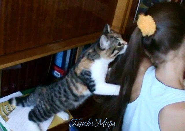 Девичьи секреты