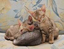 Устали после фото сессии!