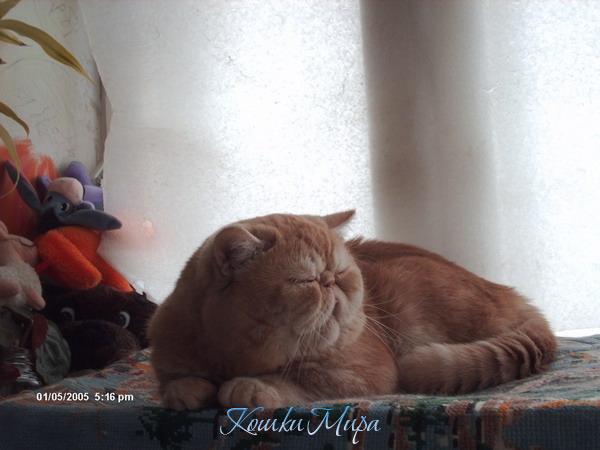 Любимая часть жизни Мартина - это сладкий сон