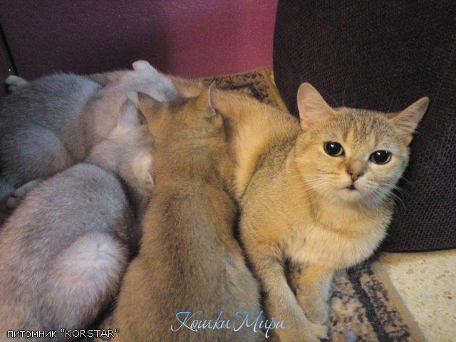 Мамины думы- прошло 2 месяца