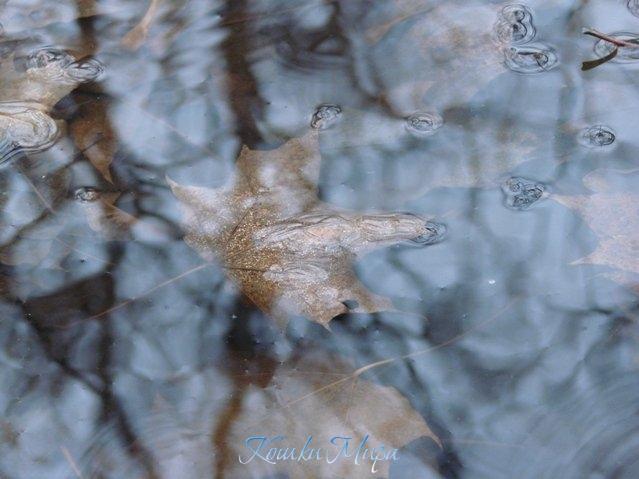 Осеннее Зазеркалье