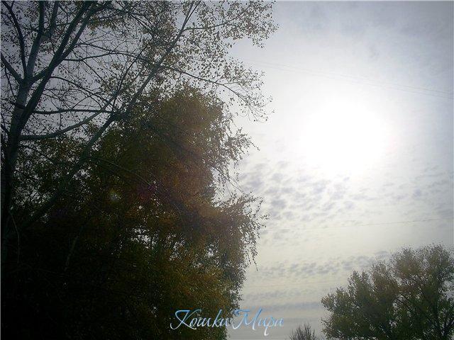 Я люблю тебя, осень...