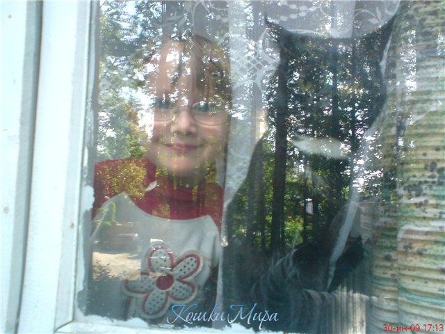 Верные друзья