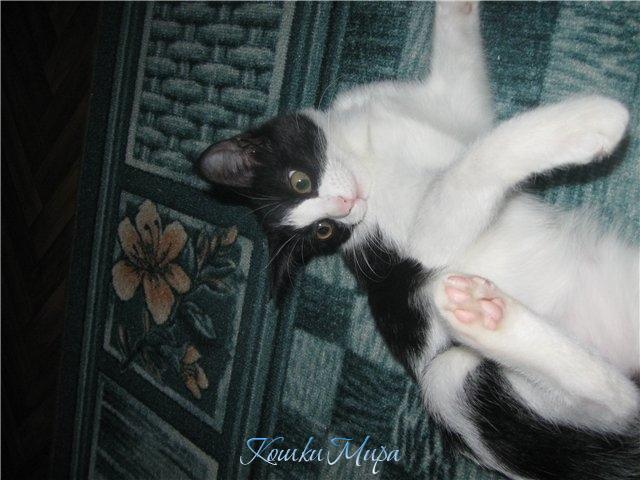Ох, уж, эта мне гимнастика! Но что делать, худеть-то надо!)))