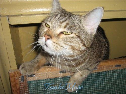 Какие-то полочки у вас у-у-зенькие...