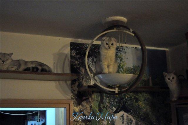 Ну тут чего-то свет погас, мы починить хотели...