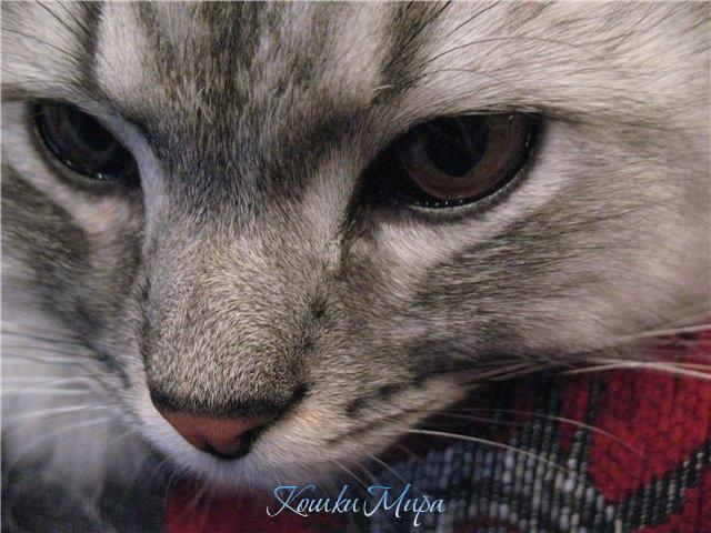 Уйди, старушка, я в печали