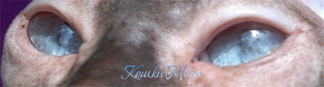 Глаза - хоть не чайного цвета,  Но в душу глубОко глядят,  В них мудрость целого света,  С тобою они говорят.