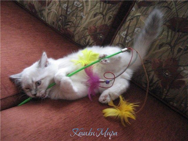 Ну, дразнилка, настал твой смертный час ...