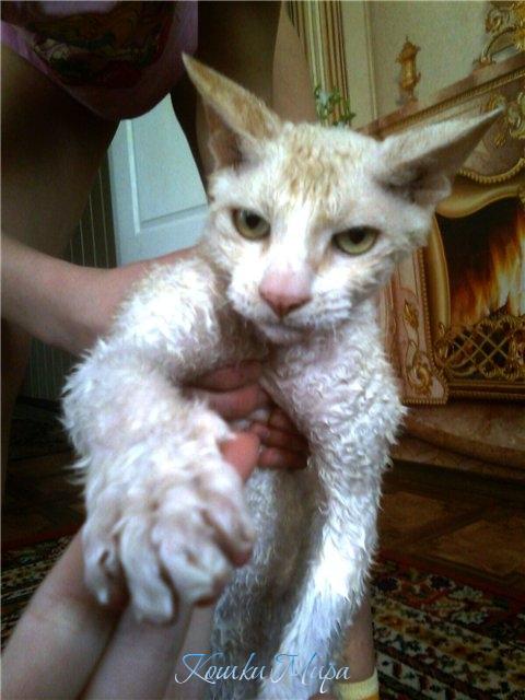 Киииииия (хук справа)!