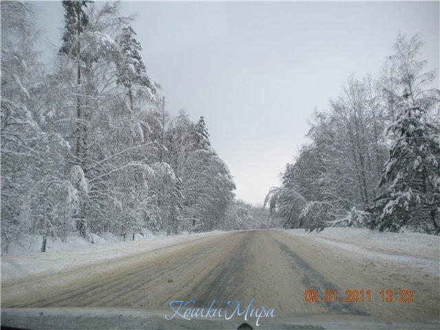 Эх, дороги...