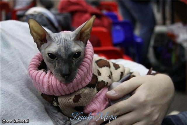 Эти руки самые любимые...