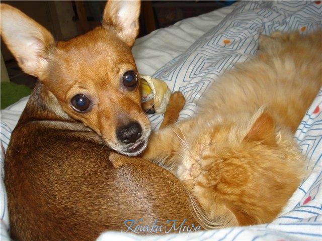 Это любовь... Это точно!