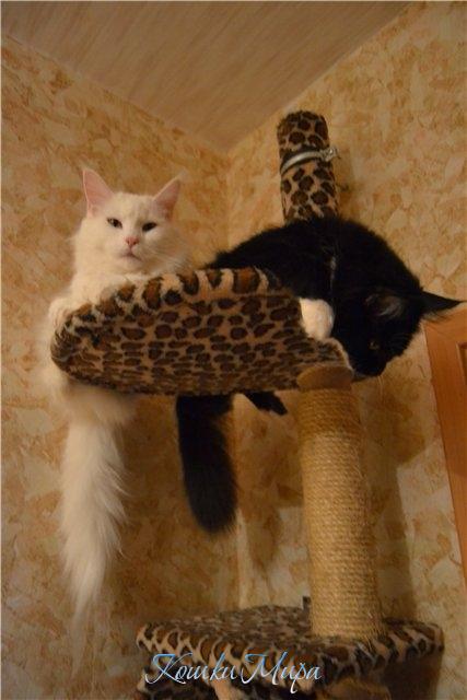 Мама с дочкой- ниточка за иголочкой!