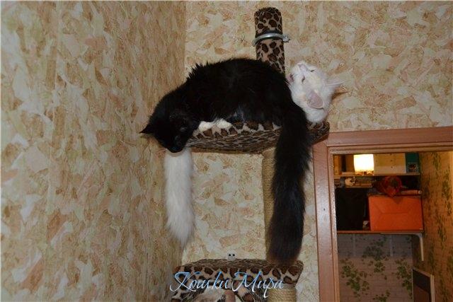 Вдвоем теплее