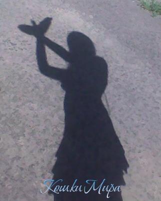 Только в мечтах можно так делать)))