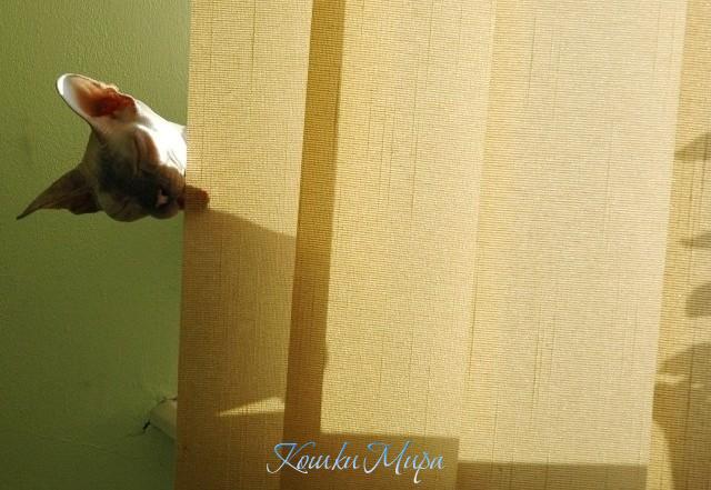 Надеюсь, вам понравилось, на поклон выходить?..