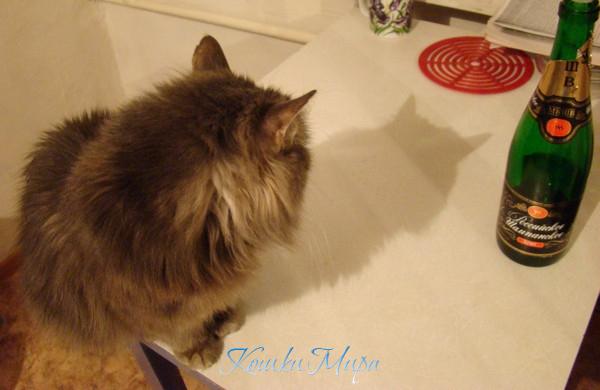 Но не все его послушали...