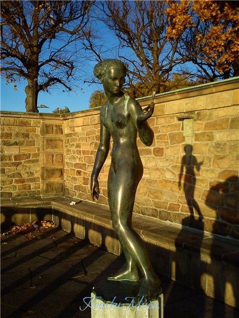 Тень выдала фотографа