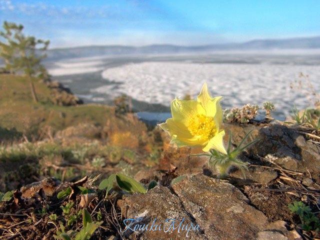 Мысли теней или тени мыслей..