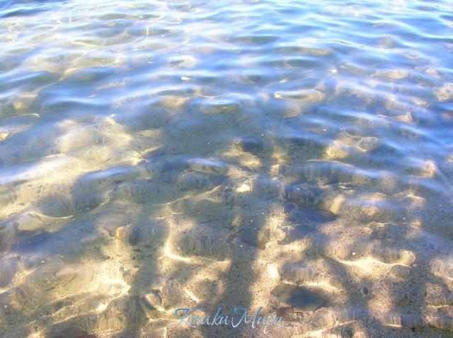 Мысли теней или тени мыслей..