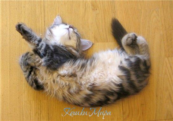 Определенно, я - красавица!