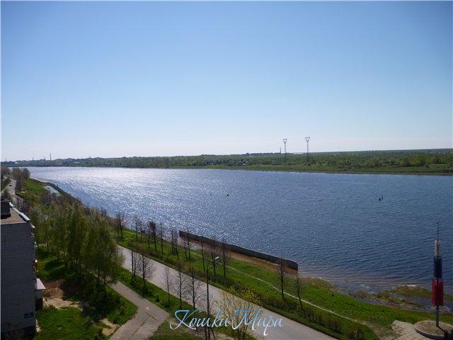 Когда пожалеешь, что ты - не птица...