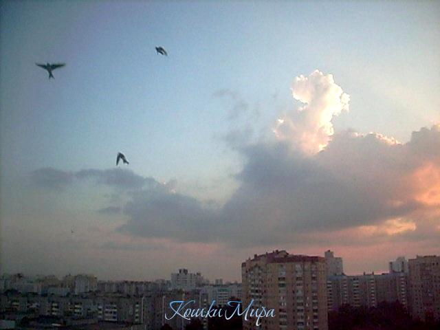 После грозы