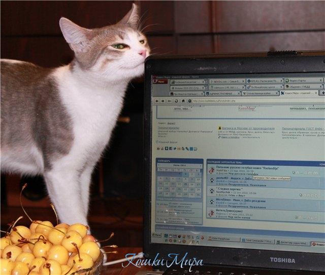 Так завтра снова На том же месте,  В тот же час!