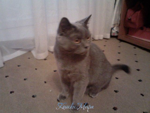 Филя отдыхает))