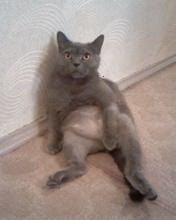 Филя отдыхает))