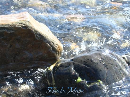 Под лежачий камень вода не бежит