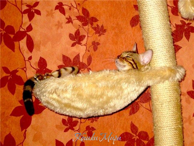 Не кайф, а услада!