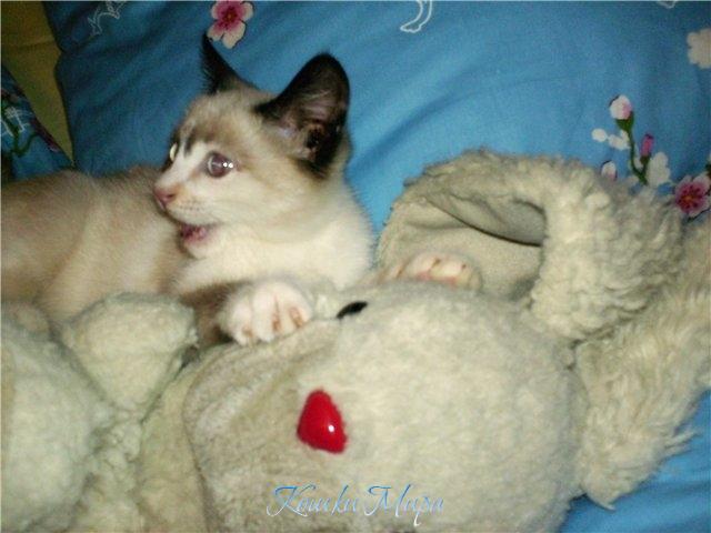 Ну, вообщем, я ему такая говорю...