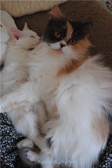 Тише, тише, малышка спит...