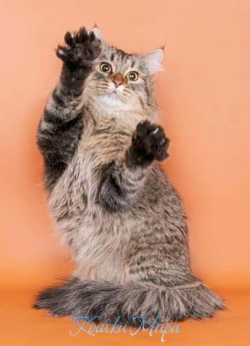 Эй, не стойте слишком близко!