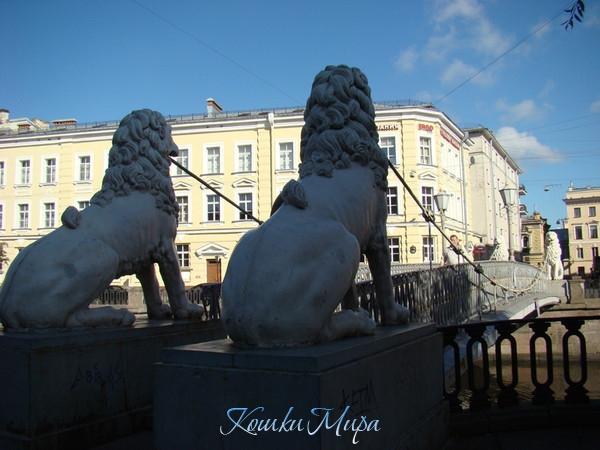 Между тенью и светом