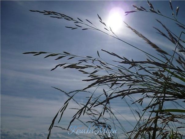 Жаркое небо