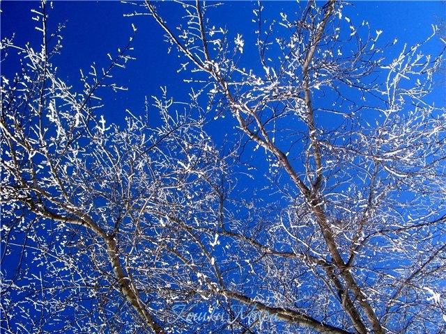 Зимний полдень