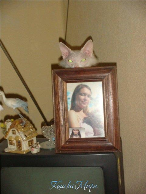 Я за тобой наблюдаю