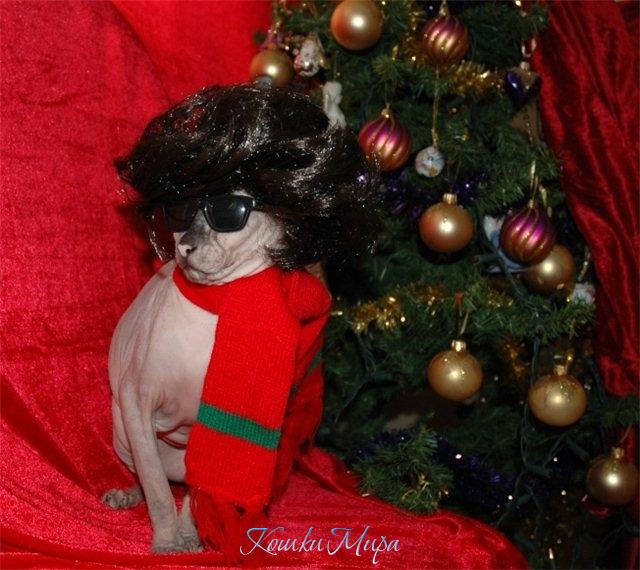 Чтоб на балу мог хорошо повесилиться-  Надень костюм ИНКОГНИТО!