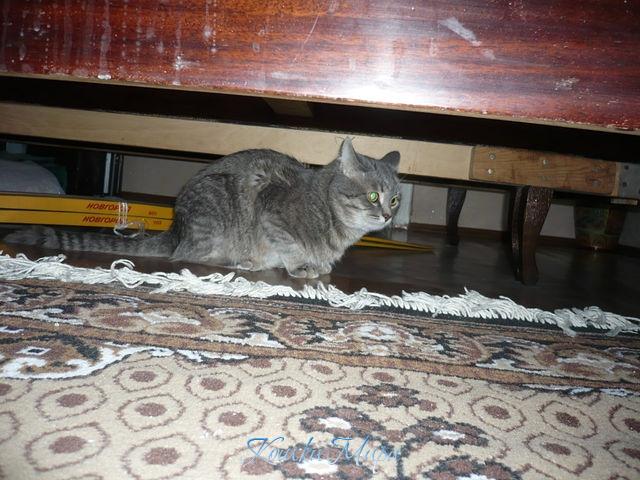 Только бы не заметили!!!