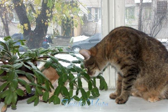 Тут точно кто-то есть!