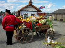 Это сбор урожая и праздник в казачьей станице
