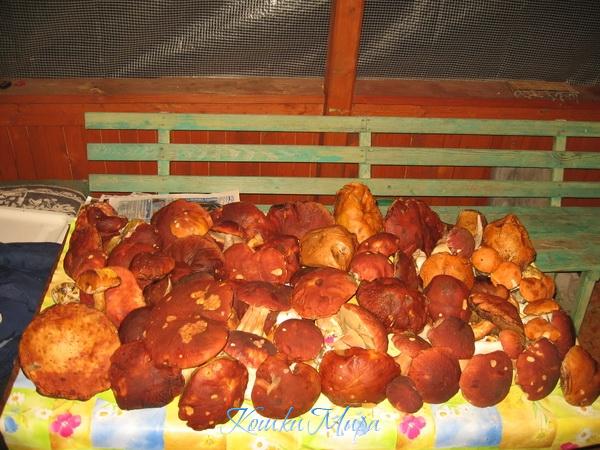 Подарки осени