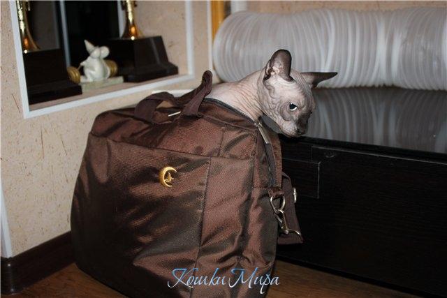 Мама, возьми меня на работу...